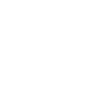 Genesis-Signature-logo