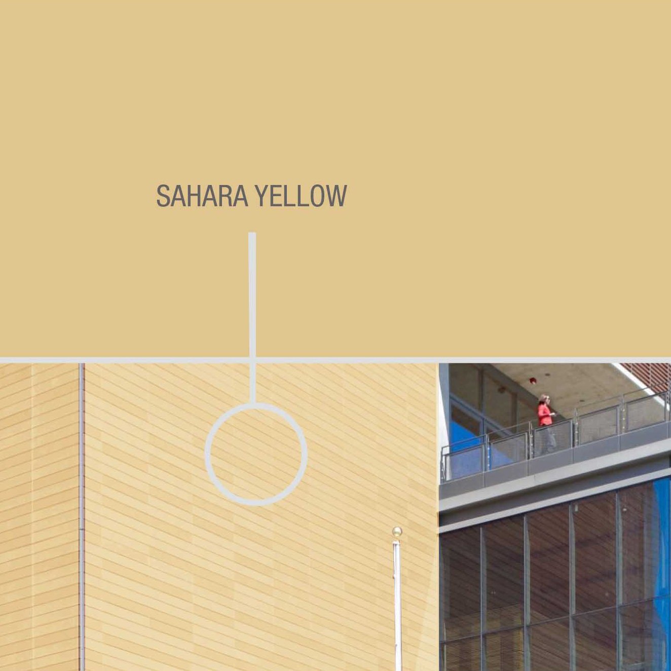 Sahara Yellow